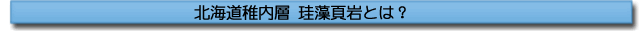 北海道稚内層 珪藻頁岩とは?