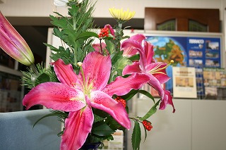 IMG_3232.jpg